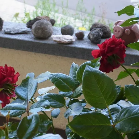 Gaestehaus Villaverde