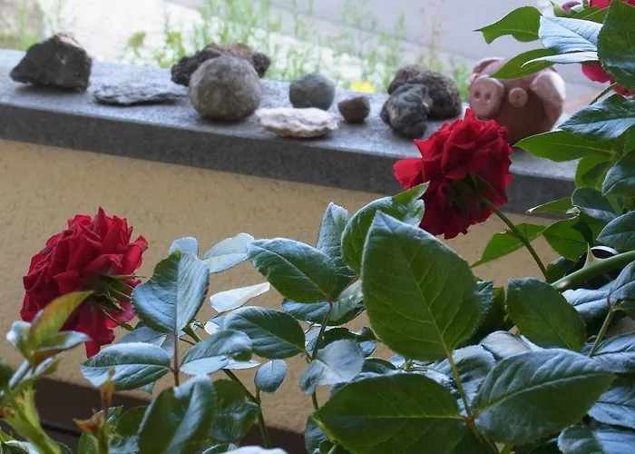 Gaestehaus Villaverde